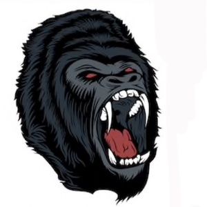 Meet your Posher, Rashaun